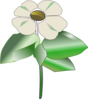 Pacific Dogwood Coloring Page Clip Art